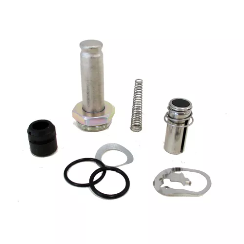 ASCO | 302313 | Valve Rebuild Kit