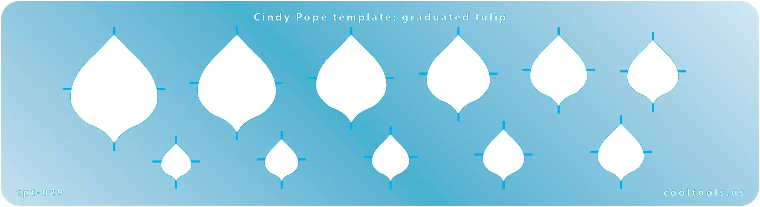 Cindy Pope Template - Graduated Tulip