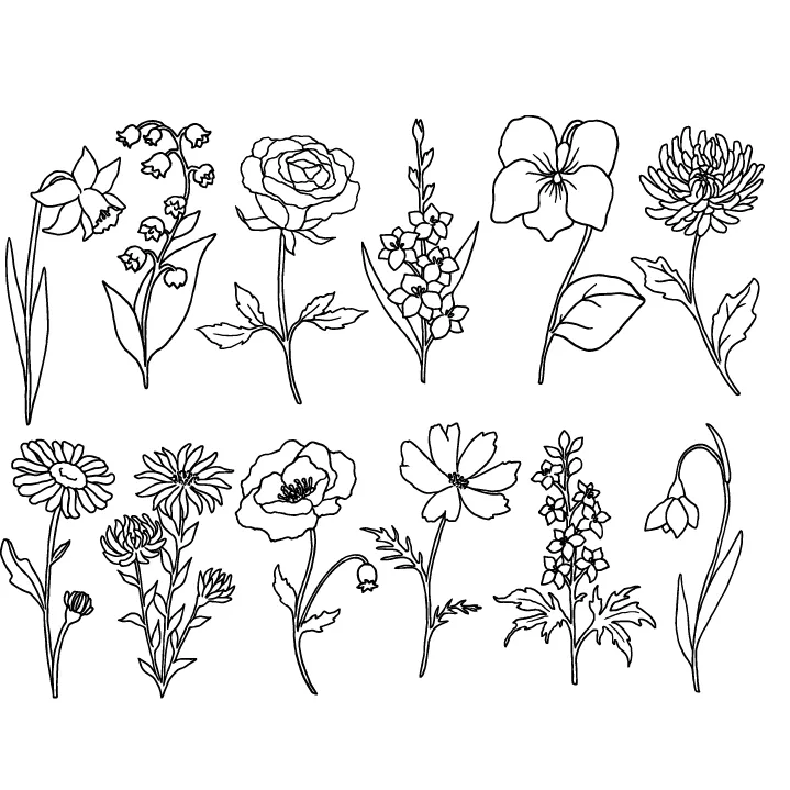 Enamel, Ceramic & Glass Decals - Garden Flowers