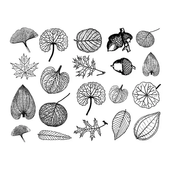 Enamel, Ceramic & Glass Decals - Small Leaves