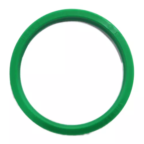Valqua | DHS-63 | Dust Seal