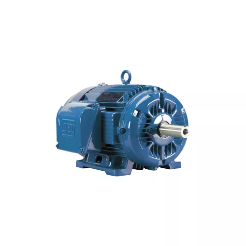 WEG | 00536ET3E184T-W22 | General Purpose Motor