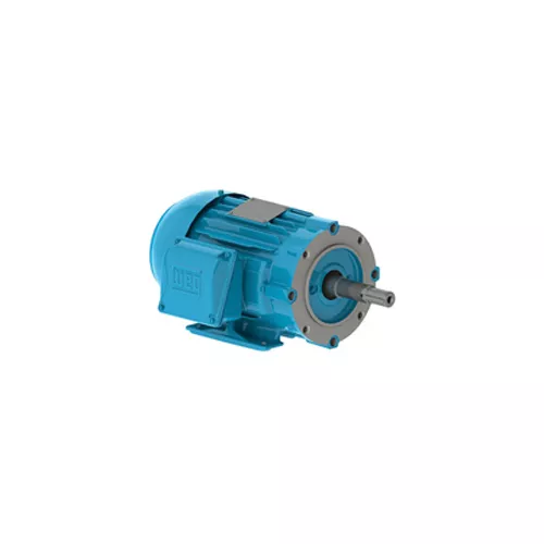 WEG | 00736ET3E184JM-W22 | General Purpose Motor