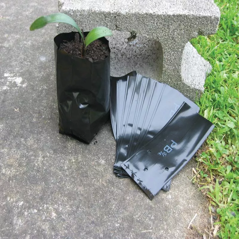 (x100) Planter Bags - PB 1-1/2